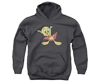 Looney Tunes Youth Vampire Tweety Pull Over Hoodie / Hooded Sweatshirt