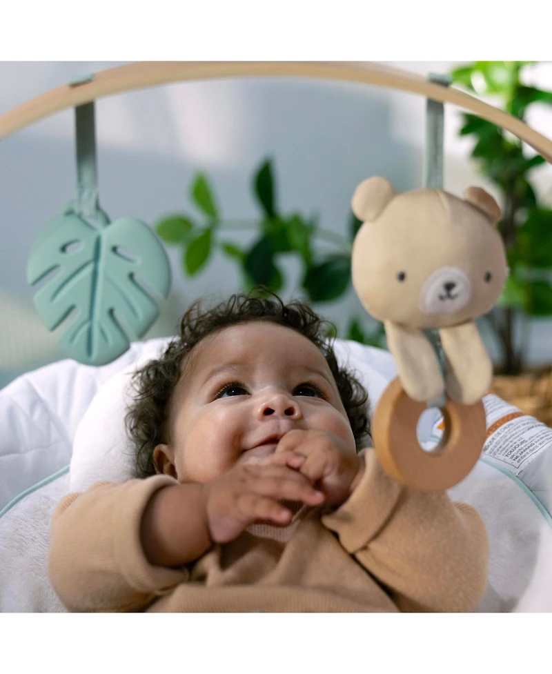 Cozy Spot Soothing Bouncer