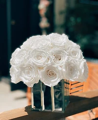 Rose Box Nyc Half Ball of Pure White Long Lasting Preserved Real Roses in Mini Modern Vase, 25-27 Roses