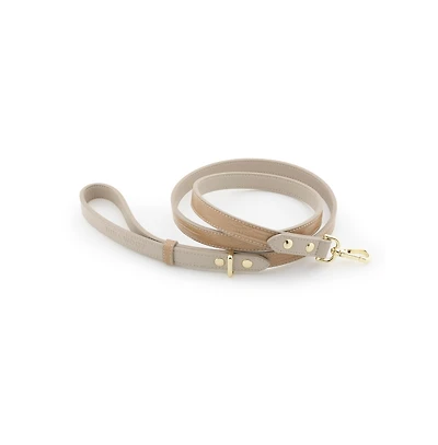 Dog Leash 4 ft