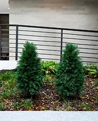Nearly Natural 2.5ft. Uv Resistant Artificial Cedar Plant with Integrated Ground Stake Indoor/Outdoor - Set of 2