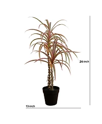 Nearly Natural 2ft. Artificial Dracaena Marginata Plant