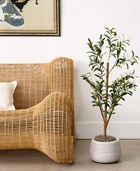 Nearly Natural 3ft. Artificial Olive Tree with Natural Trunk