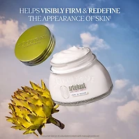 L'Occitane Artichoke Body Cream 7.00 fl oz