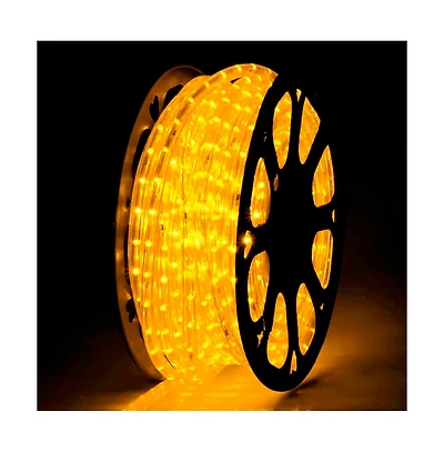 DELight 150FT Led Neon Rope Lights Warm White with Remote Control,IP65 Ac 110V Waterproof Dimmable Cuttable SMD3535 Led Lights Del-D150W