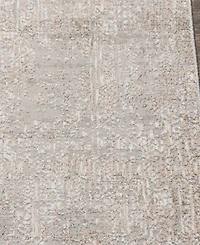 Livabliss Carmel Crl-2300 2'7x4' Area Rug