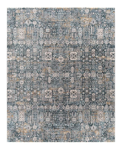 Livabliss Cardiff Cdf-2309 7'10x10'3 Area Rug