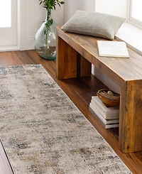 Livabliss Cardiff Cdf-2304 2'7x10' Runner Area Rug