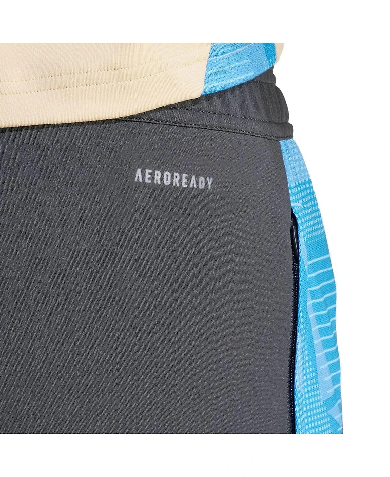 Adidas Men's Gray Argentina National Team 2024 AeroReady Training Pants