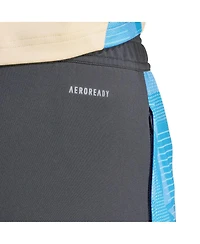 Adidas Men's Gray Argentina National Team 2024 AeroReady Training Pants
