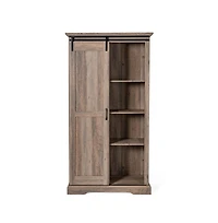 Finnoula Farmhouse Storage Cabinet, Semi-Open With Sliding Barn Door