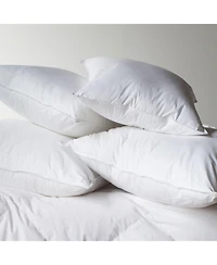 2 Pack - 26" x 26" Euro Down Alternative Throw Pillow Insert