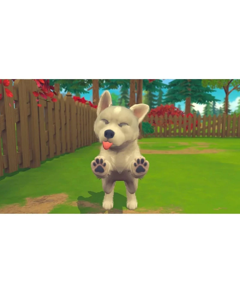 Maximum Games My Universe: Puppies and Kittens - Nintendo Switch