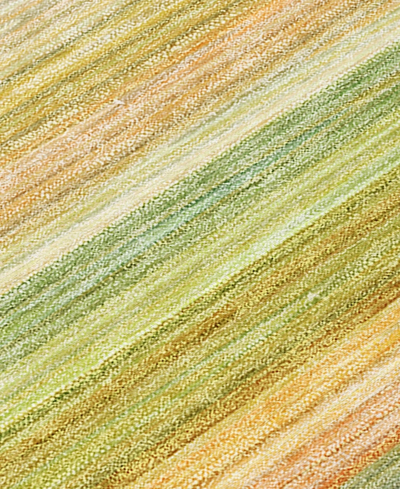 Addison Chantille Machine Washable ACN535 8'x10' Area Rug