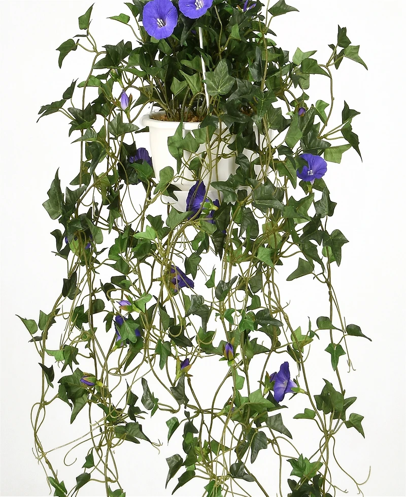 National Tree Company 44 Hanging Morning Glory Plant