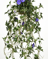 National Tree Company 44 Hanging Morning Glory Plant
