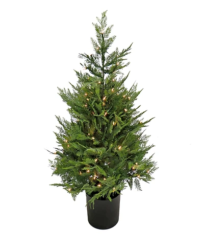 National Tree Company 3 ft. Pre-Lit Cypress Tree in Nursery Pot