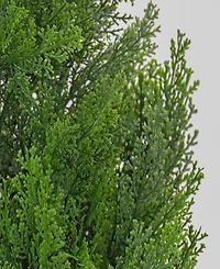 National Tree Company 50 Cedar Tree in Dark Green Round Growers Pot