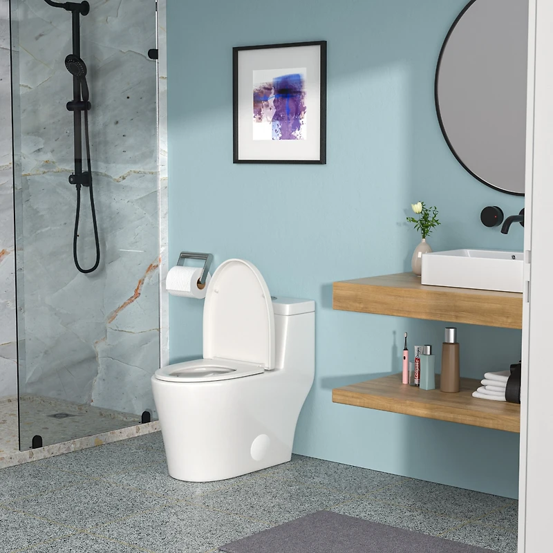 Streamdale Furniture Ceramic One Piece Toilet, Dual Flush With Soft Closing Seat 0000