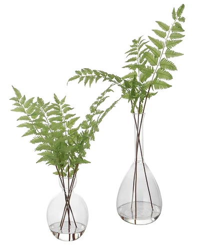 Uttermost Country Ferns, Set of 2