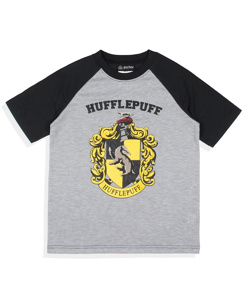 Harry Potter Boys Hogwarts Castle All Houses 2 Piece Raglan Pajama Set