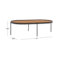 Emmerick Mirrored Coffee Table