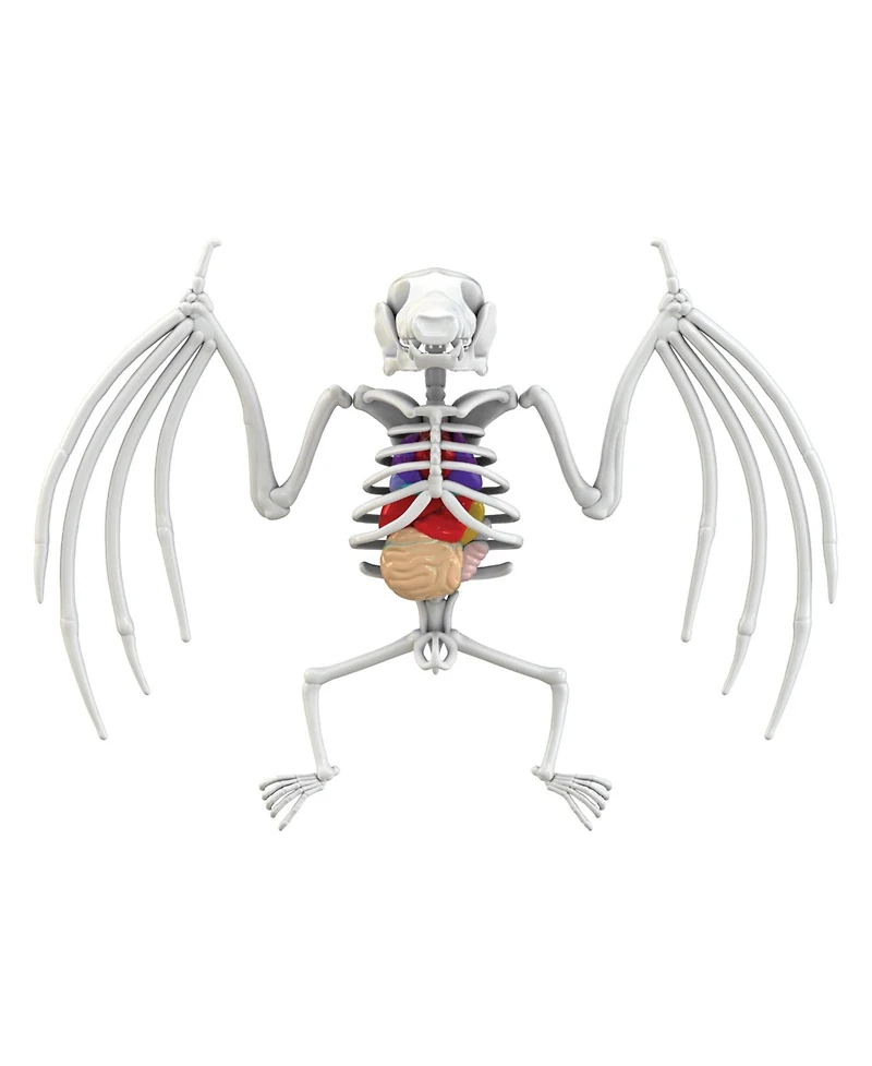 World Tech Toys Amazing Creatures Synthetic Dissection Kit - Bat