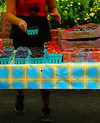 Rsvp International Aluminum Frame 17x11x18" Red Foldable Market Basket