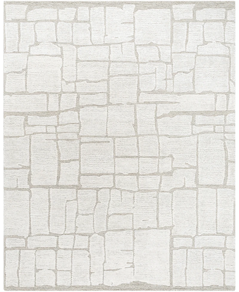Livabliss Bianca 530223 2'x3' Area Rug