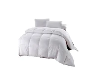 Egyptian Cotton 500 Thread Count Down Comforter, King/California King