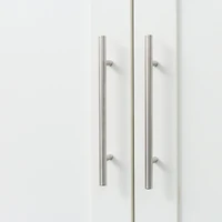 Streamdale 2-Door Wardrobe & Kitchen Cabinet with Storage Spaces