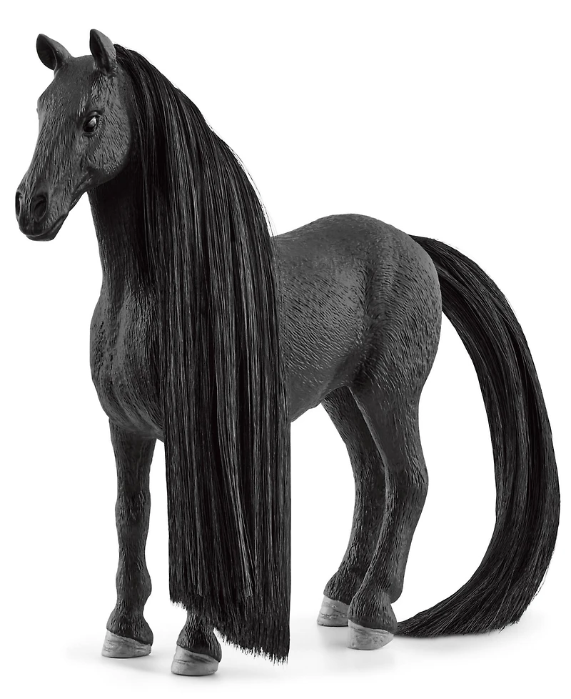 Schleich Beauty Horse Criollo Definitivo Mare - Black Horse Figurine