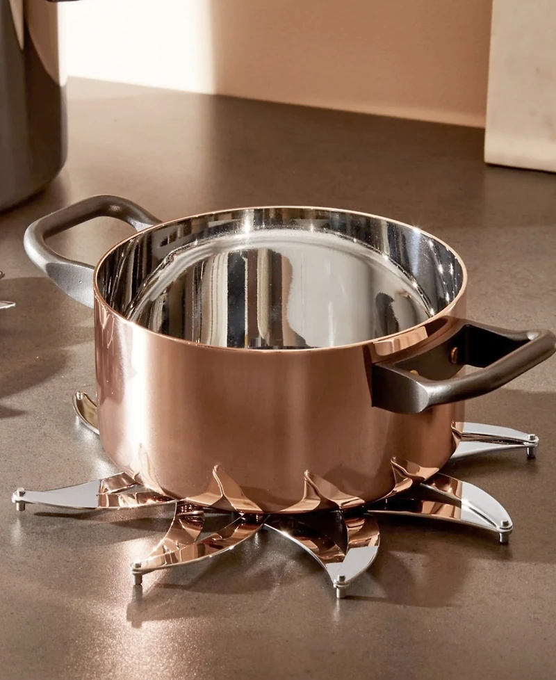 Alessi Trivet by D'UrbinoLomazzi