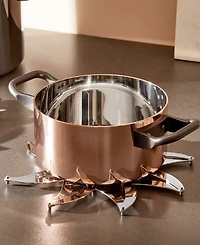 Alessi Trivet by D'UrbinoLomazzi