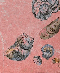 Dalyn Seabreeze Washable SZ9 2'6x3'10 Area Rug