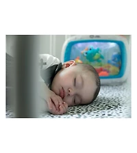 Baby Einstein Sea Dreams Soother Crib Toy