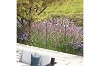 Outsunny 11.' Garden Fence Steel Border Flower Edging, Pack of