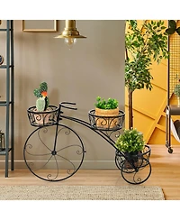 Slickblue Tricycle Plant Stand Flower Pot Cart Holder in Parisian Style
