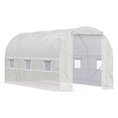 Spacious Walk-in Greenhouse for Year-Round Plant Cultivation
