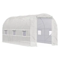 Spacious Walk-in Greenhouse for Year-Round Plant Cultivation