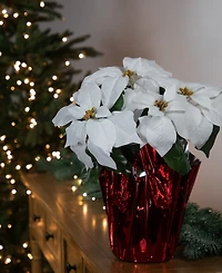 Northlight White Artificial Christmas Poinsettia 13.75"