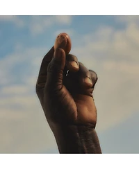 L'Occitane Shea Hands & Body Ultra Rich Wash 10.10 fl oz