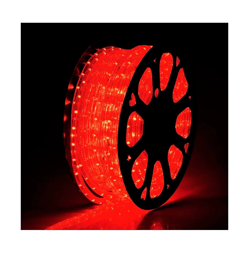 DELight 150' 2 Wire Led Rope Light Home Party Xmas In/Outdoor Decoration Lighting Red