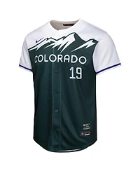 Nike Big Boys and Girls Charlie Blackmon Green Colorado Rockies City Connect Limited Player Jersey