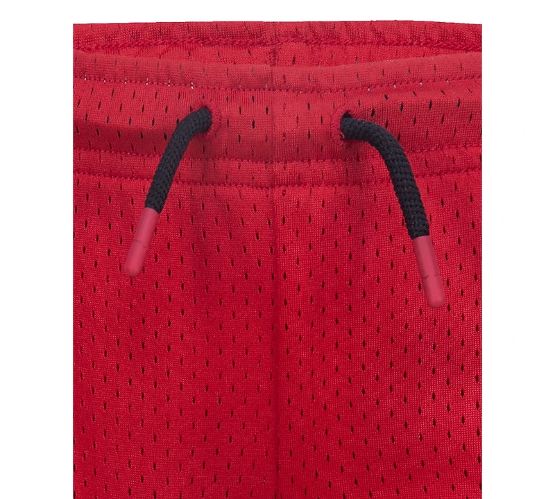 Jordan Little Boys Pe Mesh Shorts