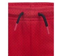 Jordan Little Boys Pe Mesh Shorts