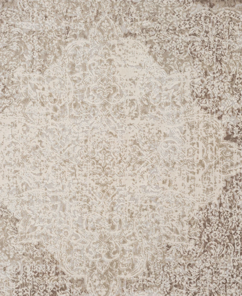 Lr Home Alice-405 4'x6' Area Rug