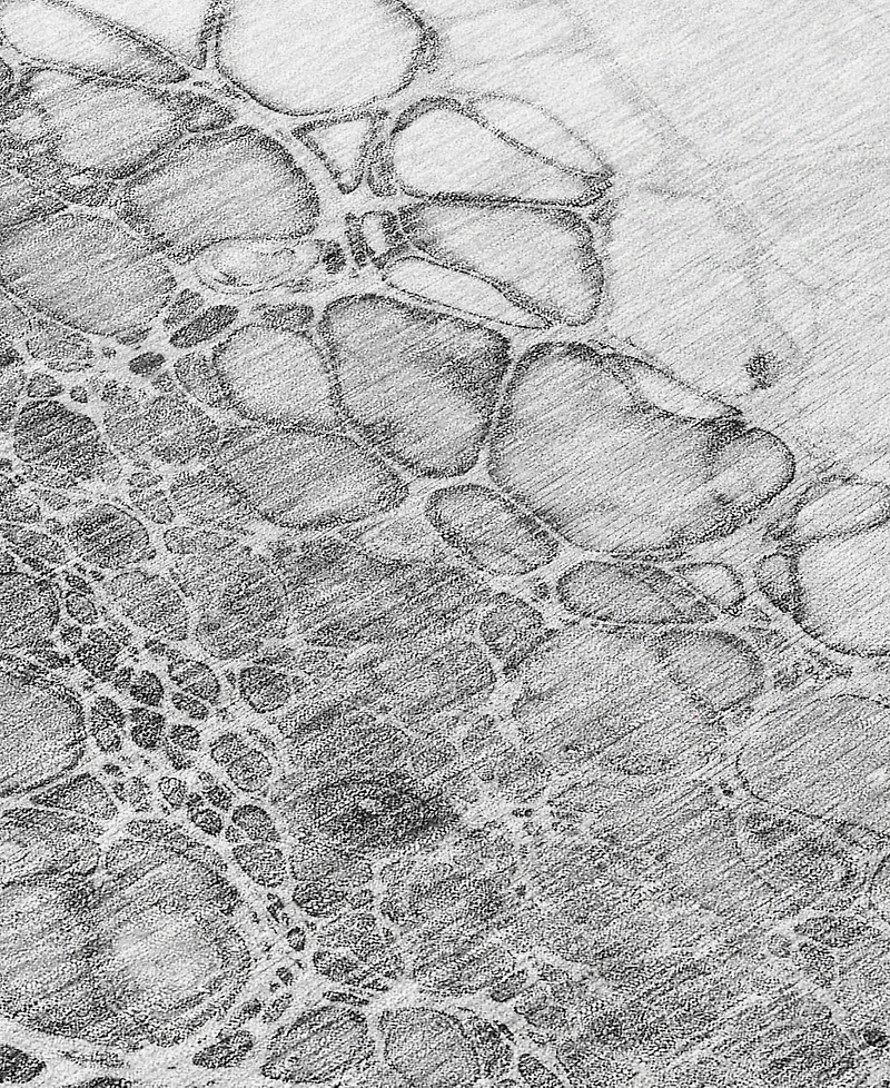 Addison Chantille Machine Washable ACN707 5'x7'6" Area Rug