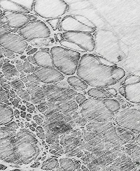 Addison Chantille Machine Washable ACN707 5'x7'6" Area Rug