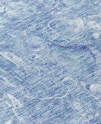 Addison Chantille Machine Washable ACN670 5'x7'6" Area Rug